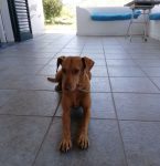 Diana - lipari - islas eolias - italia